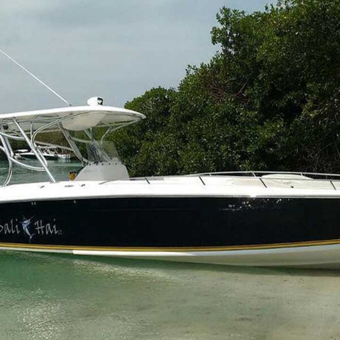 Bote Deportivo 38FT BL